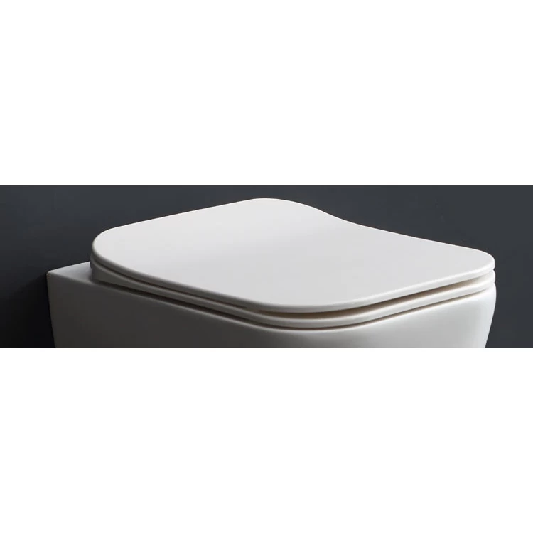 StoneArt WC Ersatzsitz SAD Für 301 601 506er Serie 2 StoneArt WC Ersatzsitz SAD Für 301 601 506er Serie – Bild 2